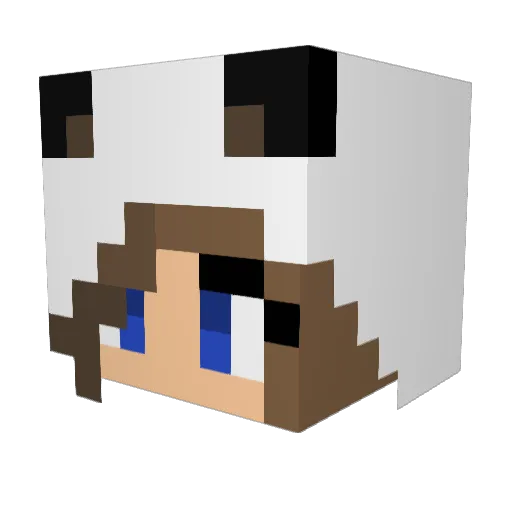 snowflight Minecraft avatar head, 3D render