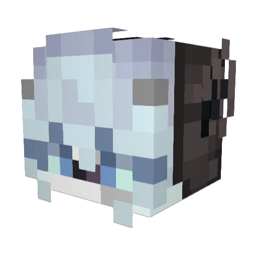 snowfwake Minecraft avatar head, 3D render
