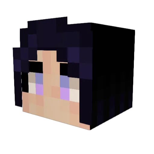 snowheart89 Minecraft avatar head, 3D render