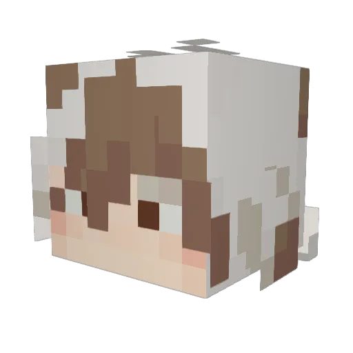 snowie29 Minecraft avatar head, 3D render