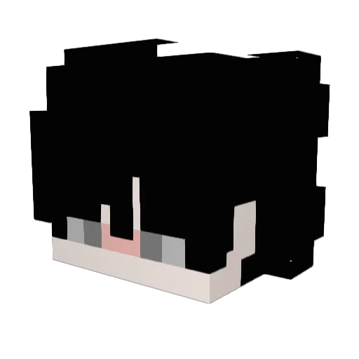 snowiit24 Minecraft avatar head, 3D render