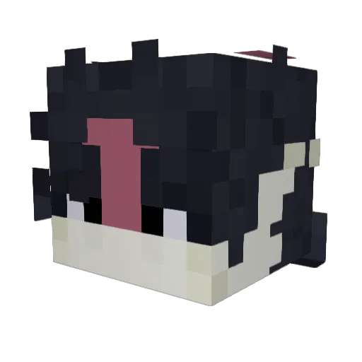 snowinspace Minecraft avatar head, 3D render