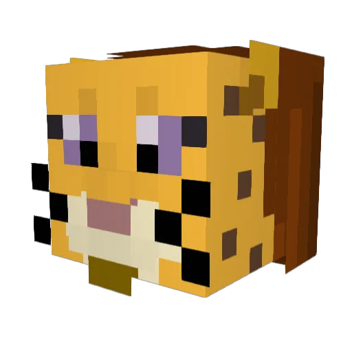 snowl9 Minecraft avatar head, 3D render