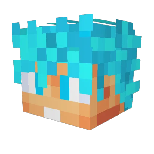 snowman5002 Minecraft avatar head, 3D render
