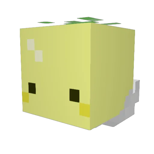 snowraon27 Minecraft avatar head, 3D render