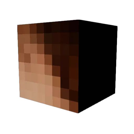 snowrock962 Minecraft avatar head, 3D render