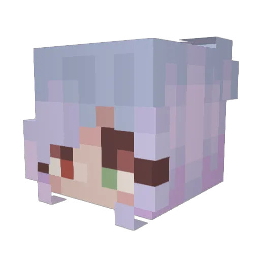snowtower Minecraft avatar head, 3D render