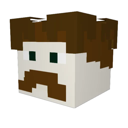 snowvale Minecraft avatar head, 3D render