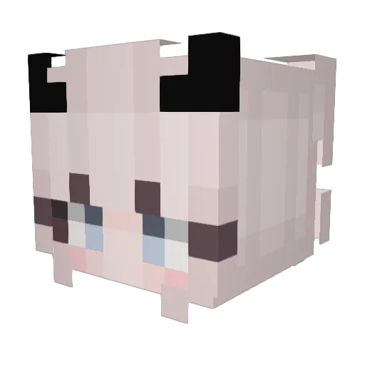 snowvwy Minecraft avatar head, 3D render