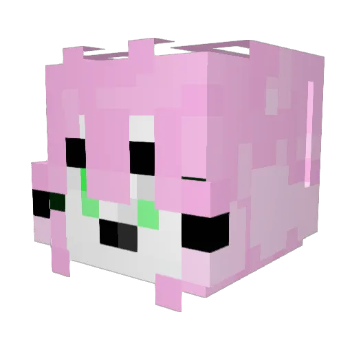 snowwy27 Minecraft avatar head, 3D render