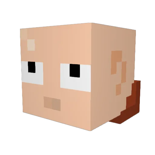 snowy799 Minecraft avatar head, 3D render