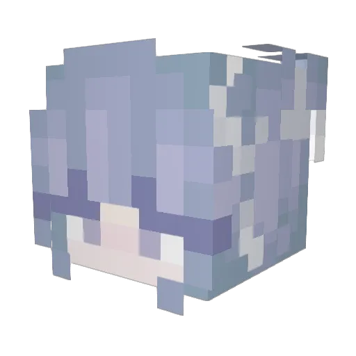 snowyJennifer Minecraft avatar head, 3D render