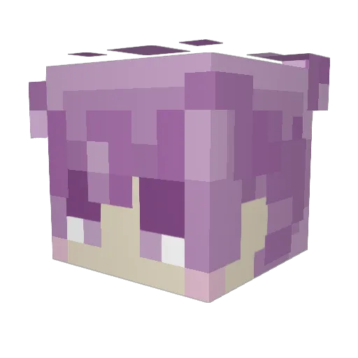 snowy_skys Minecraft avatar head, 3D render