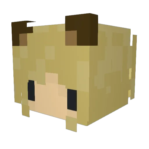 snowycape5 Minecraft avatar head, 3D render