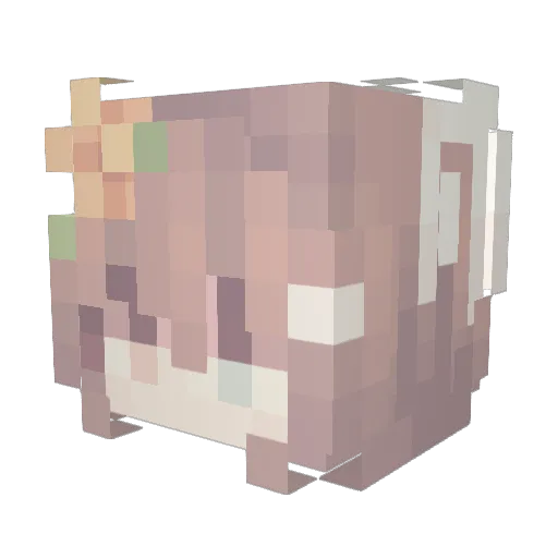 snowylinn Minecraft avatar head, 3D render