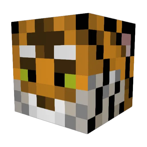 snowzahn Minecraft avatar head, 3D render