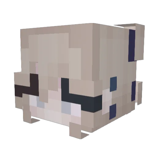 snox1233 Minecraft avatar head, 3D render