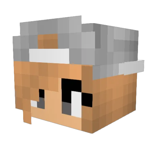snoydy Minecraft avatar head, 3D render