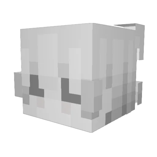 snozis Minecraft avatar head, 3D render