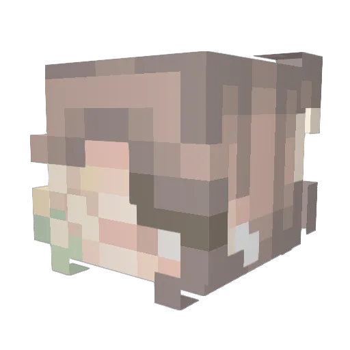 snpalavan Minecraft avatar head, 3D render