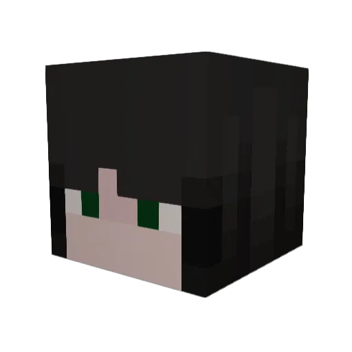 snqp2707 Minecraft avatar head, 3D render