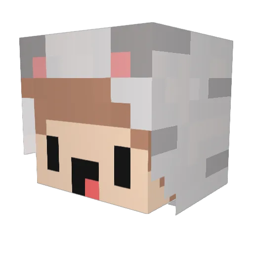 snsk_3 Minecraft avatar head, 3D render