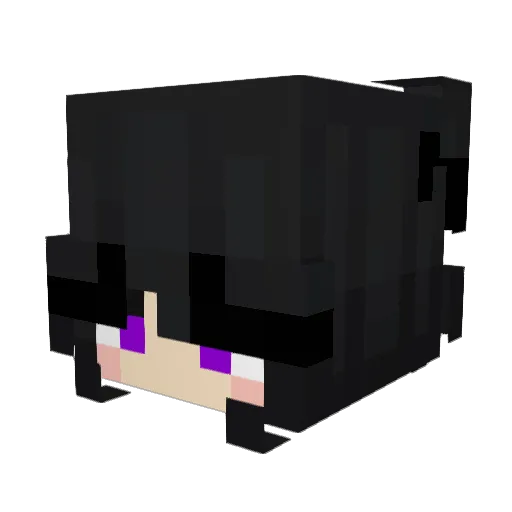 sntp Minecraft avatar head, 3D render