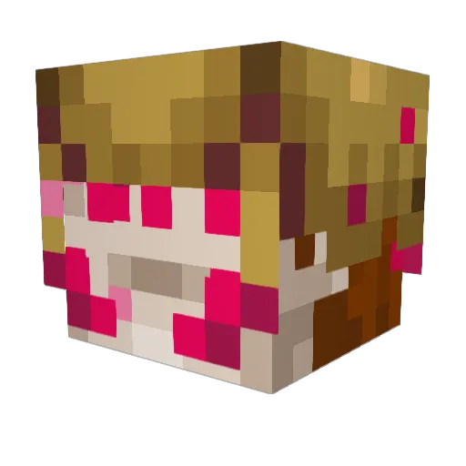 snub38 Minecraft avatar head, 3D render