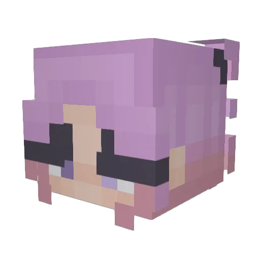 snufbaas Minecraft avatar head, 3D render