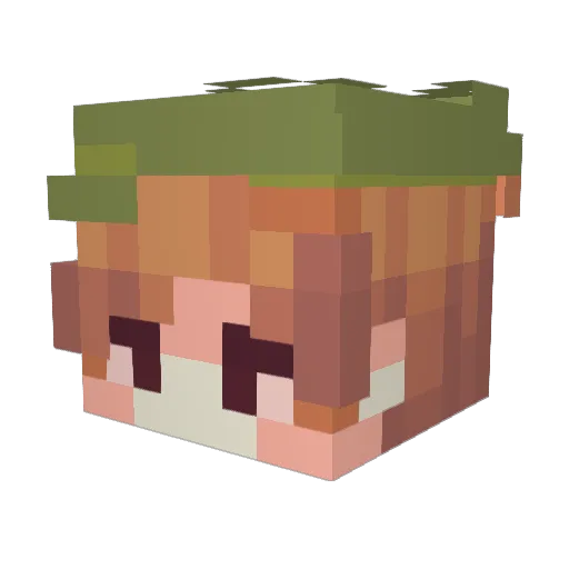snufkel Minecraft avatar head, 3D render