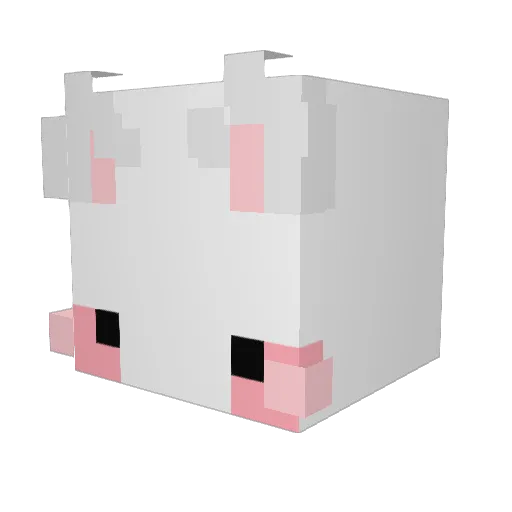snugbug000 Minecraft avatar head, 3D render