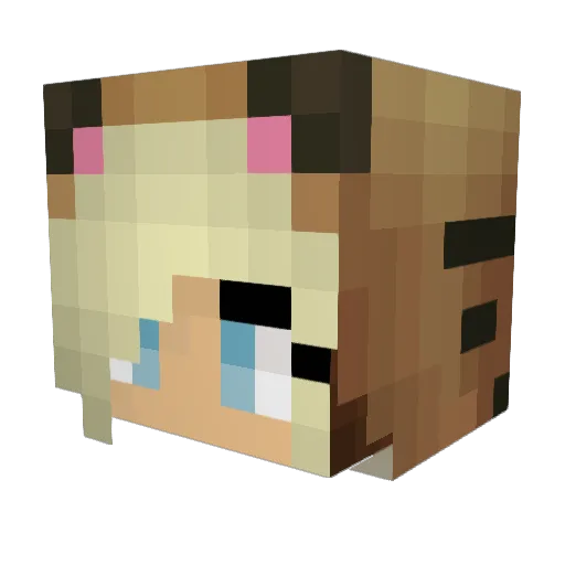 snutsy Minecraft avatar head, 3D render