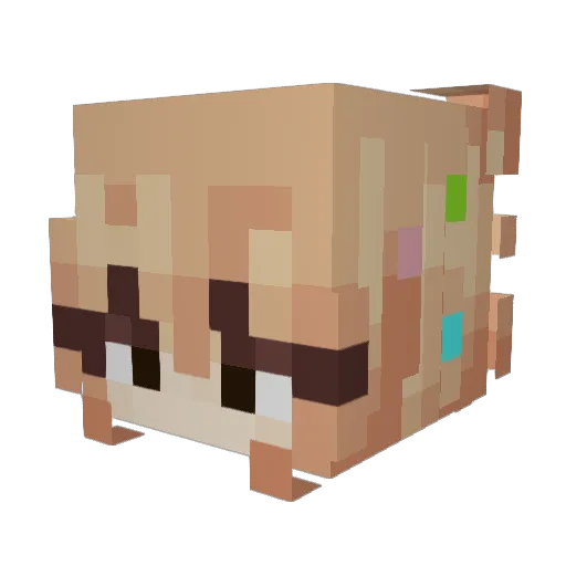 snuushine Minecraft avatar head, 3D render
