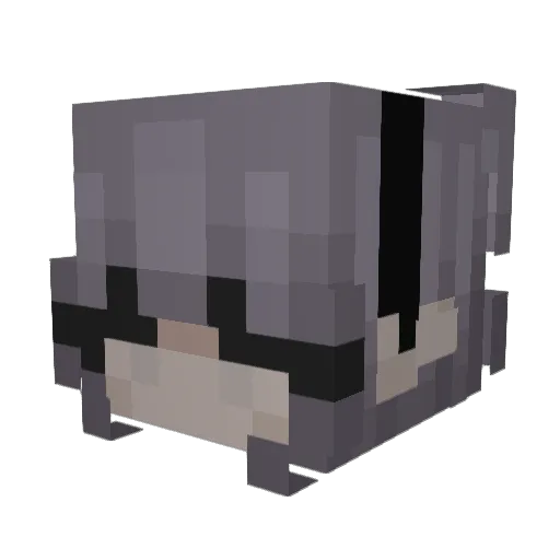 snvw Minecraft avatar head, 3D render