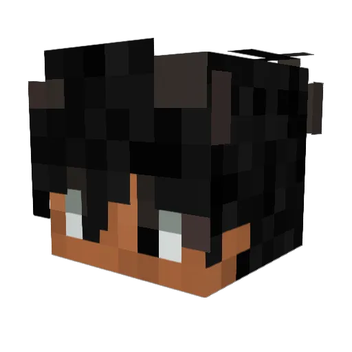 snw_ Minecraft avatar head, 3D render