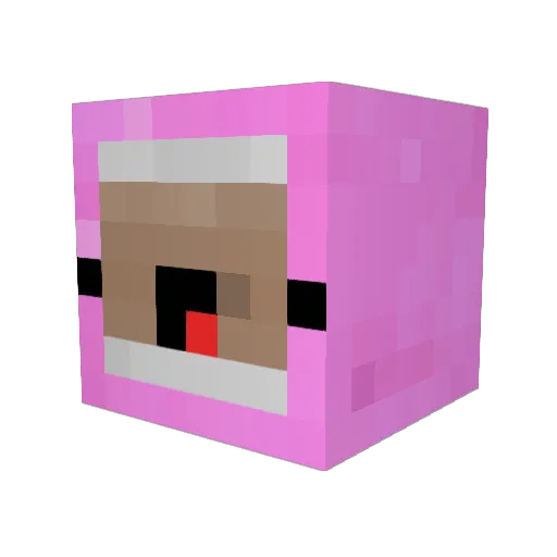 snyl8 Minecraft avatar head, 3D render