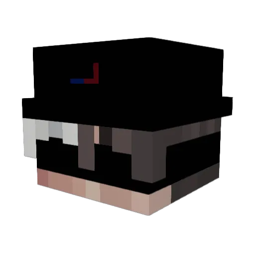 snyppdNS_ Minecraft avatar head, 3D render