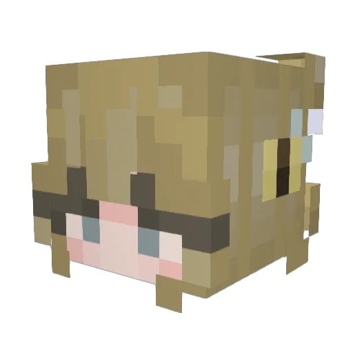 so0ff Minecraft avatar head, 3D render