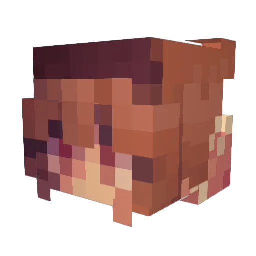 so1ch1k Minecraft avatar head, 3D render