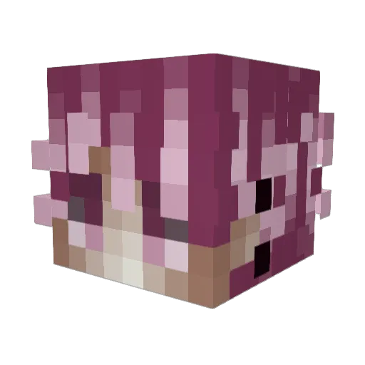 so90 Minecraft avatar head, 3D render