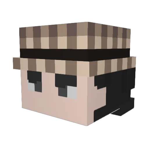 soIlId Minecraft avatar head, 3D render