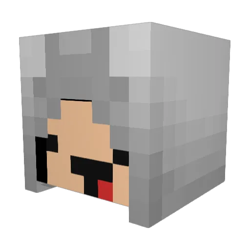 so_os Minecraft avatar head, 3D render