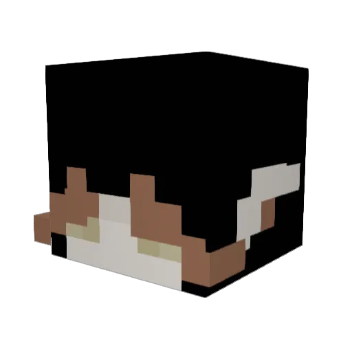 so_remi Minecraft avatar head, 3D render
