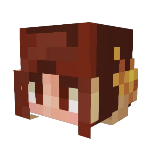 soapienight Minecraft avatar head, 3D render