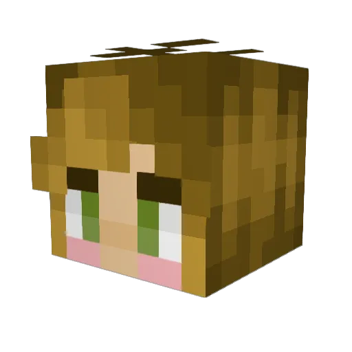soapk05 Minecraft avatar head, 3D render