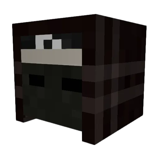 soaprag Minecraft avatar head, 3D render