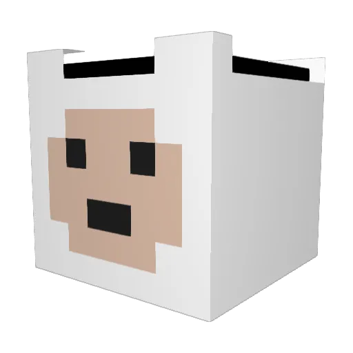 soapysophs Minecraft avatar head, 3D render