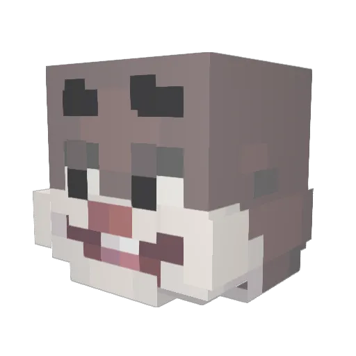 soapz593 Minecraft avatar head, 3D render