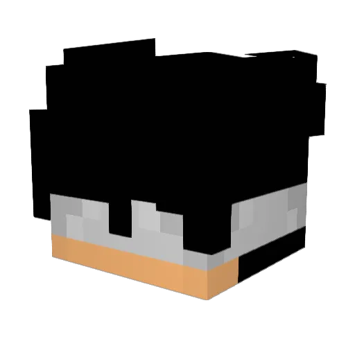 soardylan1 Minecraft avatar head, 3D render