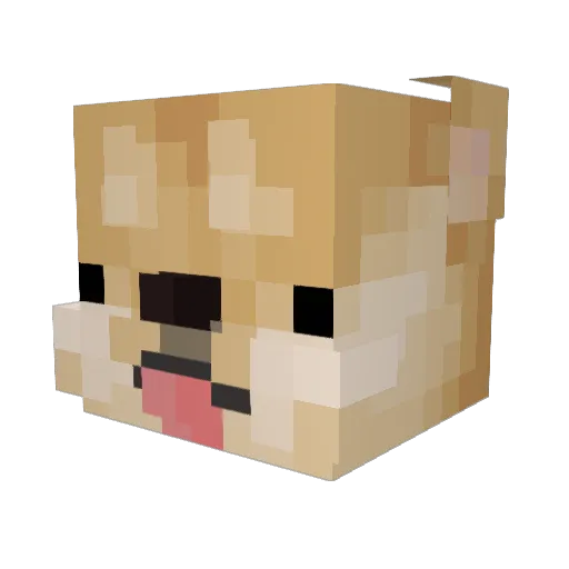 sobbaka Minecraft avatar head, 3D render